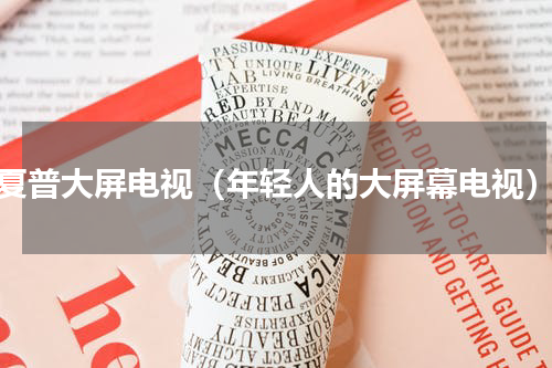 夏普大屏电视（年轻人的大屏幕电视）
