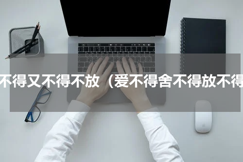舍不得又不得不放（爱不得舍不得放不得）