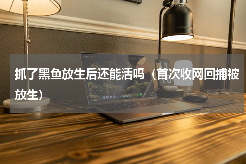 抓了黑鱼放生后还能活吗（首次收网回捕被放生）