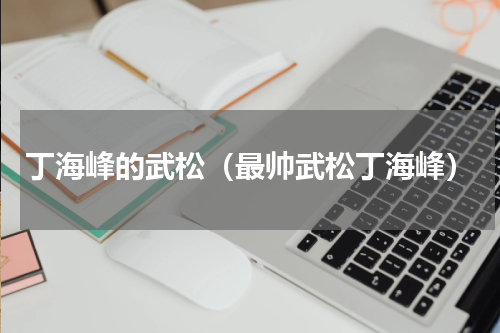 丁海峰的武松（最帅武松丁海峰）