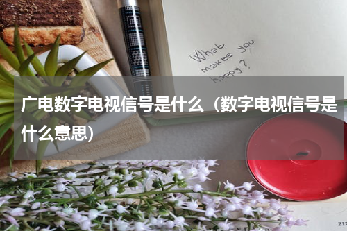 广电数字电视信号是什么（数字电视信号是什么意思）