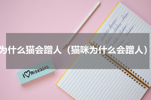 为什么猫会蹭人（猫咪为什么会蹭人）