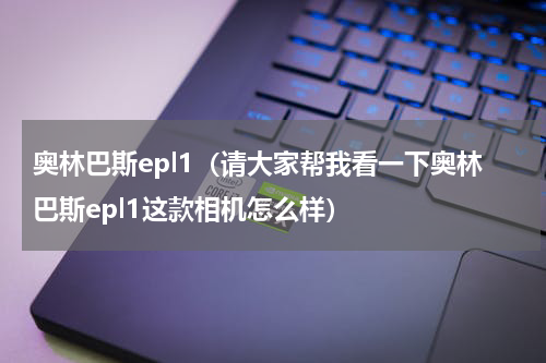 奥林巴斯epl1（请大家帮我看一下奥林巴斯epl1这款相机怎么样）