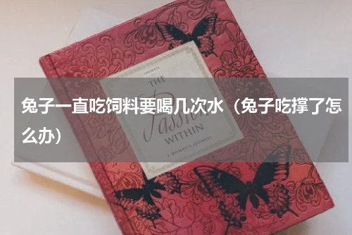 兔子一直吃饲料要喝几次水（兔子吃撑了怎么办）
