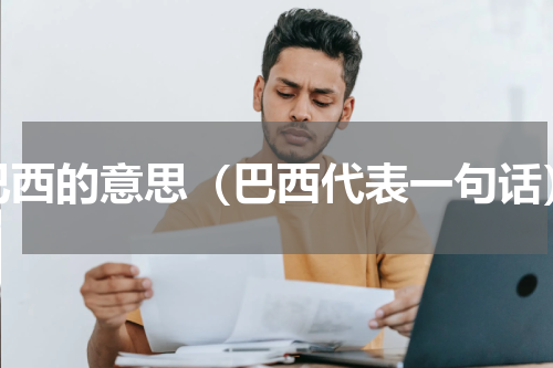 巴西的意思（巴西代表一句话）