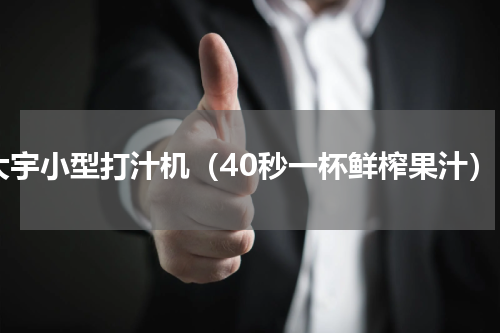 大宇小型打汁机（40秒一杯鲜榨果汁）