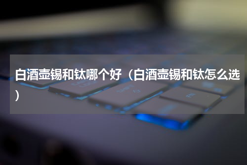 白酒壶锡和钛哪个好（白酒壶锡和钛怎么选）