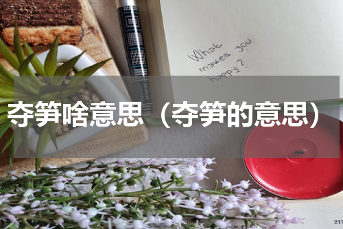 夺笋啥意思（夺笋的意思）