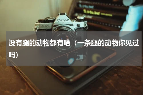 没有腿的动物都有啥（一条腿的动物你见过吗）