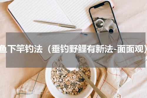 鲤鱼下竿钓法（垂钓野鲤有新法-面面观）