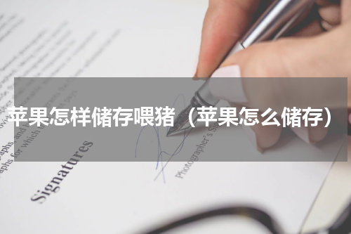 苹果怎样储存喂猪（苹果怎么储存）