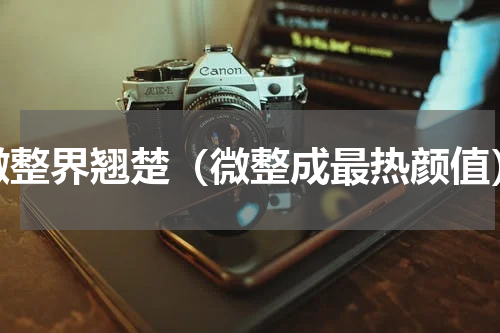 微整界翘楚（微整成最热颜值）