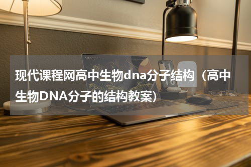 现代课程网高中生物dna分子结构（高中生物DNA分子的结构教案）