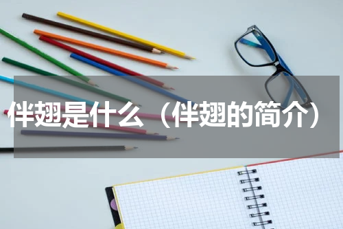 伴翅是什么（伴翅的简介）
