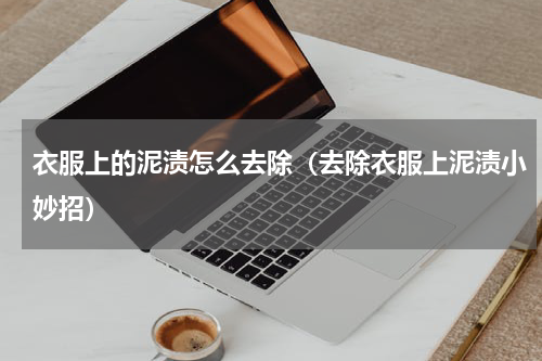 衣服上的泥渍怎么去除（去除衣服上泥渍小妙招）