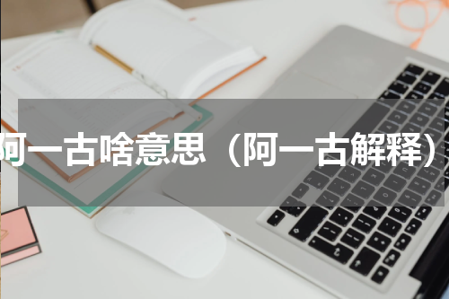 阿一古啥意思（阿一古解释）