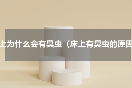 床上为什么会有臭虫（床上有臭虫的原因）