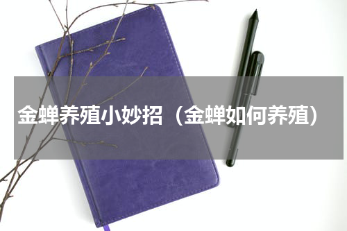 金蝉养殖小妙招（金蝉如何养殖）
