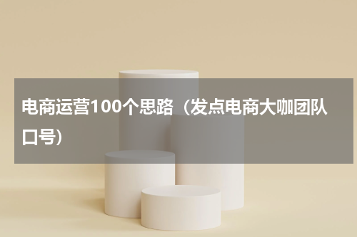 电商运营100个思路（发点电商大咖团队口号）