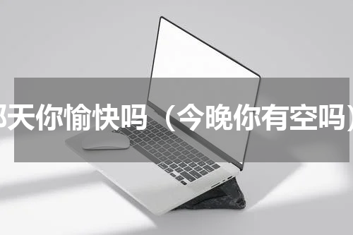 那天你愉快吗（今晚你有空吗）