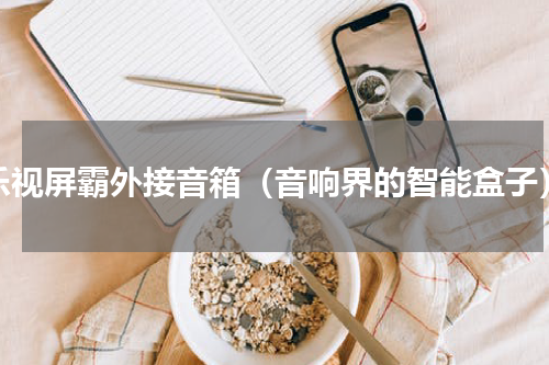 乐视屏霸外接音箱（音响界的智能盒子）