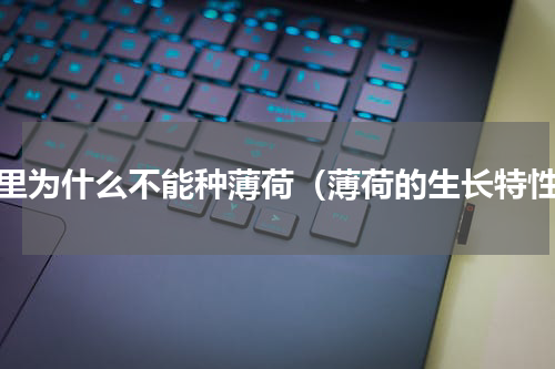 家里为什么不能种薄荷（薄荷的生长特性）
