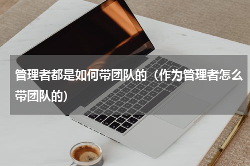 管理者都是如何带团队的（作为管理者怎么带团队的）