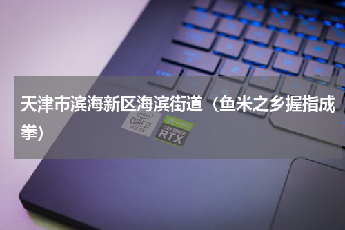 天津市滨海新区海滨街道（鱼米之乡握指成拳）