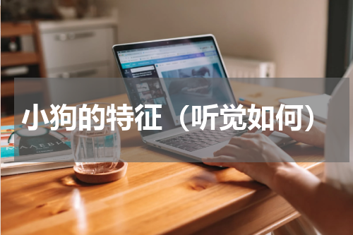 小狗的特征（听觉如何）