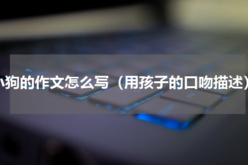小狗的作文怎么写（用孩子的口吻描述）