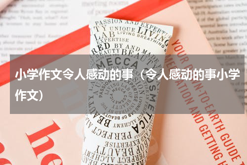 小学作文令人感动的事（令人感动的事小学作文）