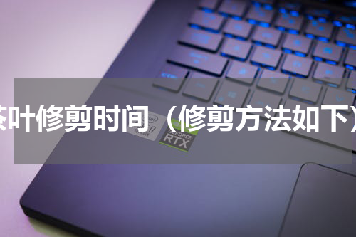 茶叶修剪时间（修剪方法如下）