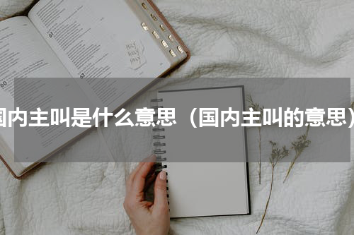 国内主叫是什么意思（国内主叫的意思）