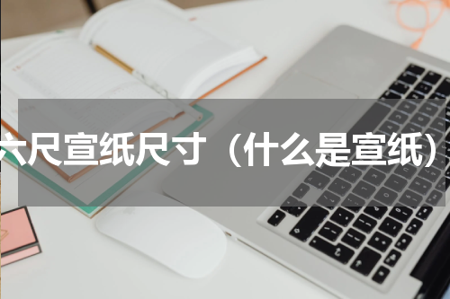 六尺宣纸尺寸（什么是宣纸）