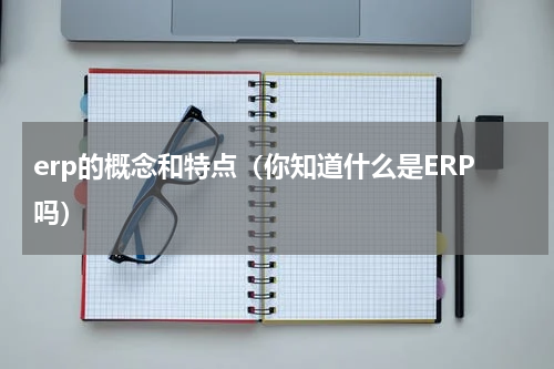 erp的概念和特点（你知道什么是ERP吗）
