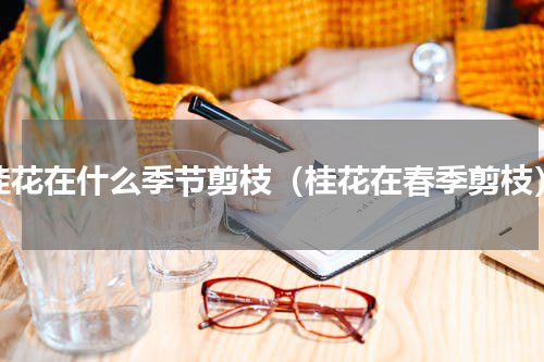 桂花在什么季节剪枝（桂花在春季剪枝）