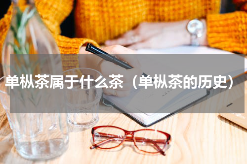 单枞茶属于什么茶（单枞茶的历史）