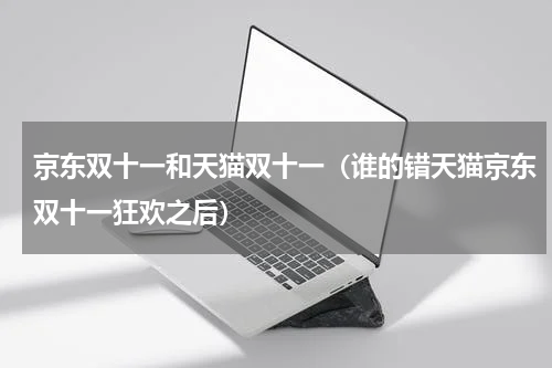 京东双十一和天猫双十一（谁的错天猫京东双十一狂欢之后）