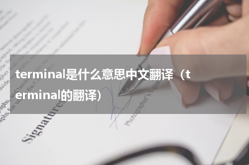 terminal是什么意思中文翻译（terminal的翻译）