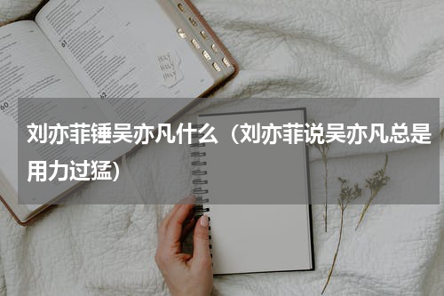 刘亦菲锤吴亦凡什么（刘亦菲说吴亦凡总是用力过猛）