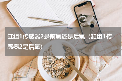 缸组1传感器2是前氧还是后氧（缸组1传感器2是后氧）