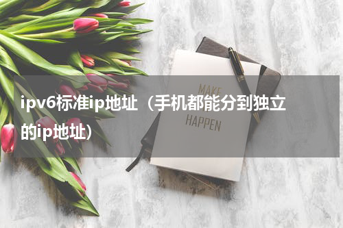 ipv6标准ip地址（手机都能分到独立的ip地址）