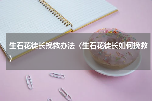 生石花徒长挽救办法（生石花徒长如何挽救）