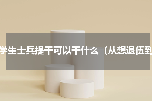 大学生士兵提干可以干什么（从想退伍到）