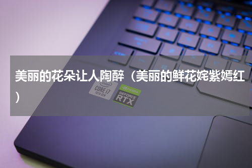 美丽的花朵让人陶醉（美丽的鲜花姹紫嫣红）