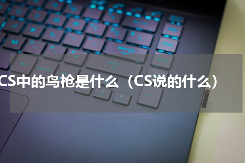 CS中的鸟枪是什么（CS说的什么）
