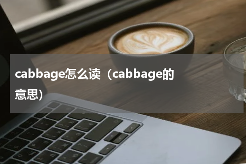 cabbage怎么读（cabbage的意思）