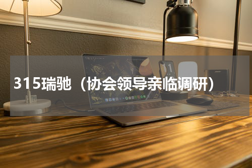 315瑞驰（协会领导亲临调研）