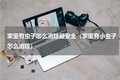家里有虫子怎么消除最安全（家里有小虫子怎么消除）