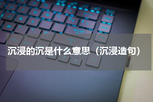 沉浸的沉是什么意思（沉浸造句）